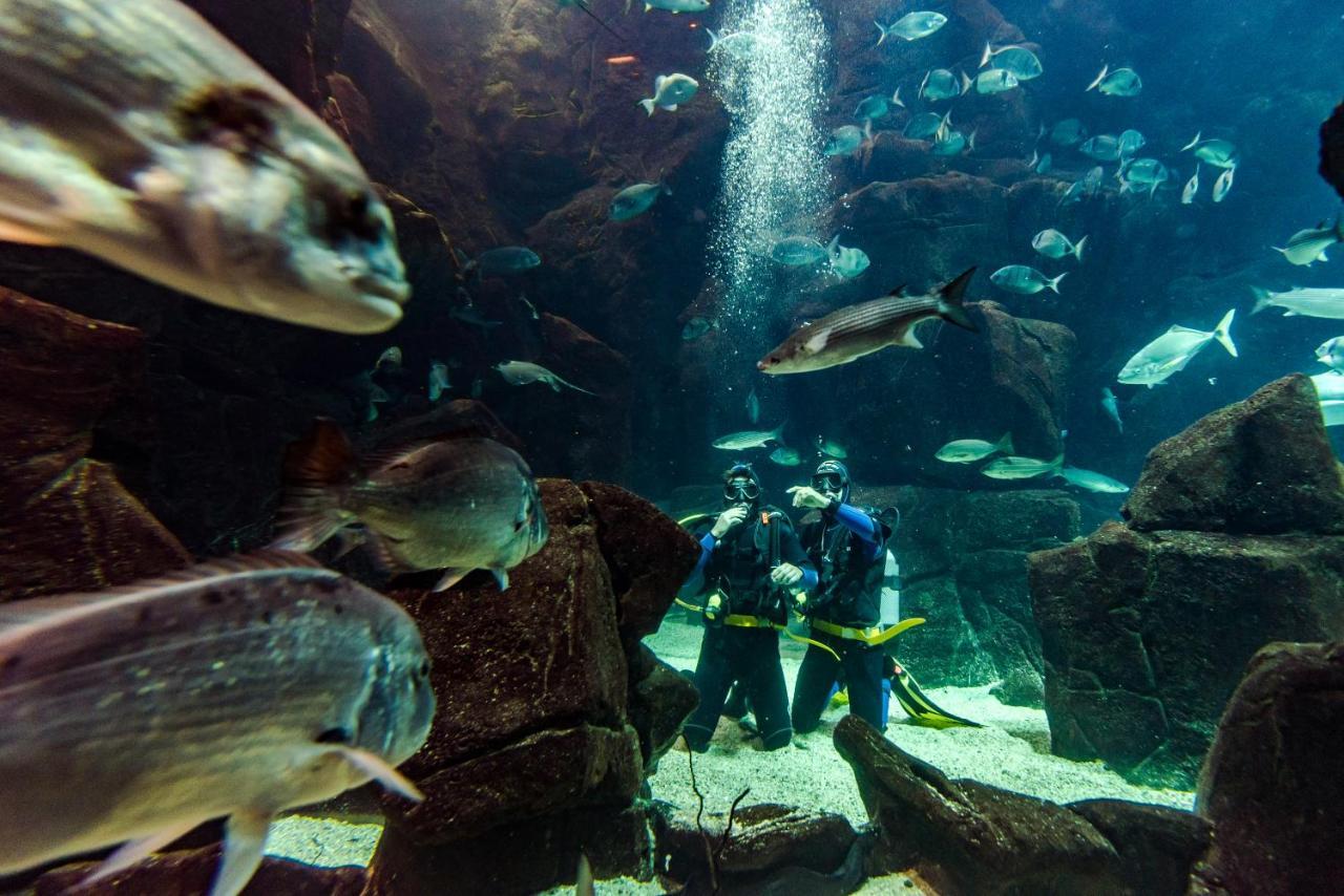 Aqua Natura Madeira Porto Moniz Εξωτερικό φωτογραφία